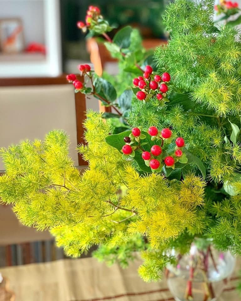 118651515_917636045425478_8702785344545588311_n