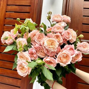 Hoa trồng giống Trung Quốc