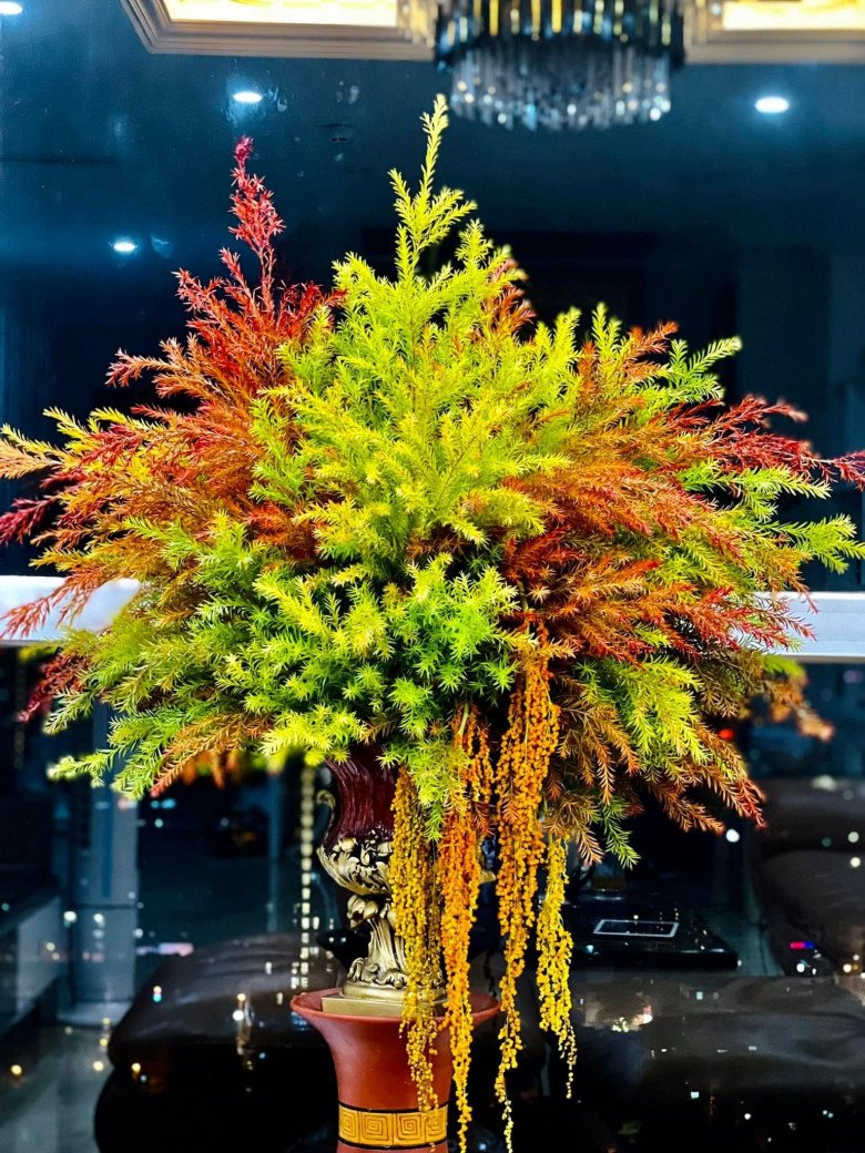 loai-la-du-mau-sac-gay-sot-chi-em-chi-ca-trieu-dong-mua-ve-cam-choi-3-1666774160-753-width780height1040