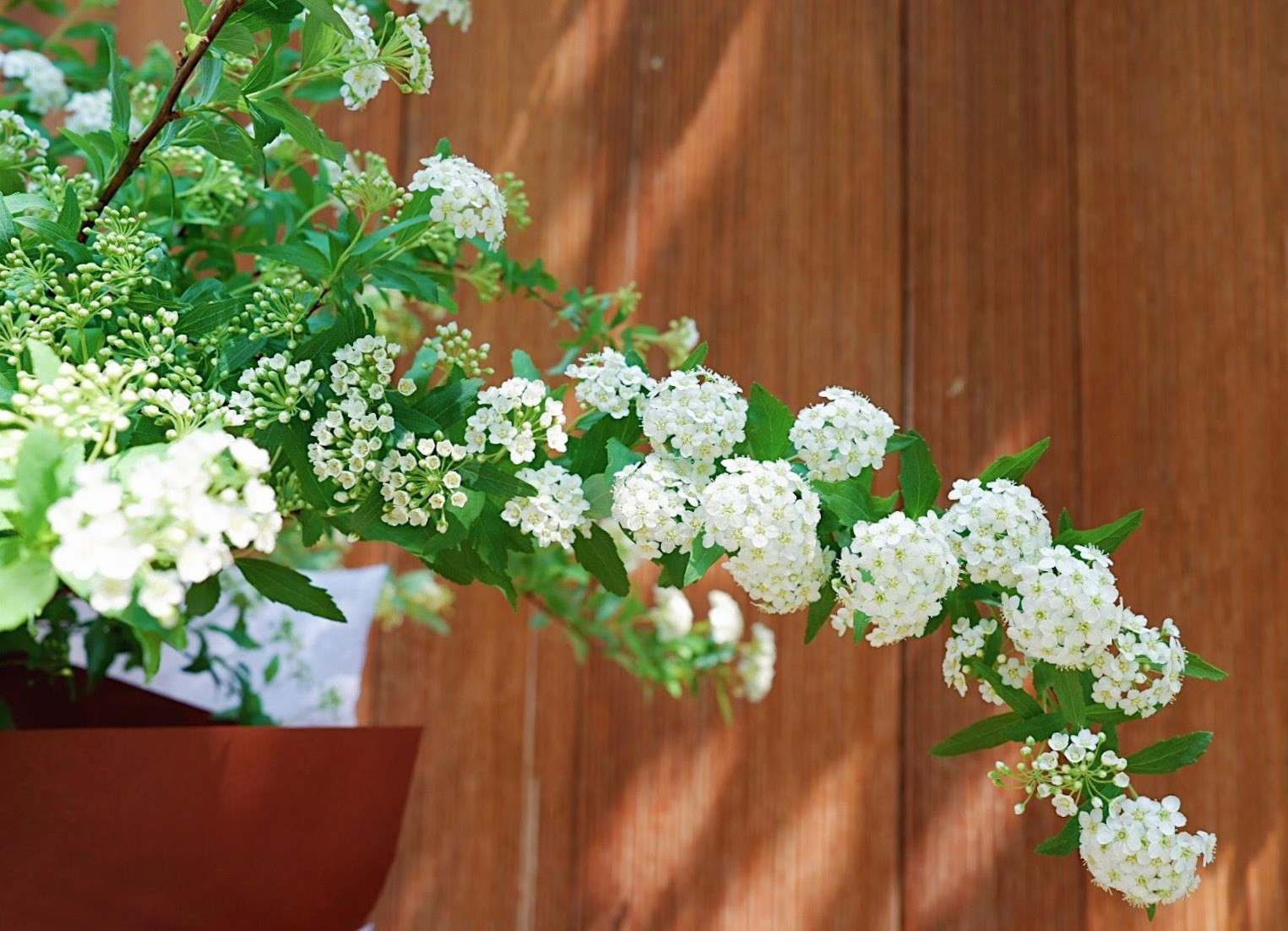 z2265146526698_1167a6b55a1debd17aa768267c410695 (1)