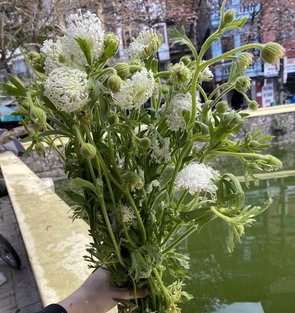 z3186937235284_cafd11490a94aab22c8f98e8d37c352a-1